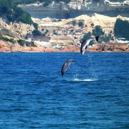 Les Pieds Dans L'eau Vila Bonifacio (Corsica)