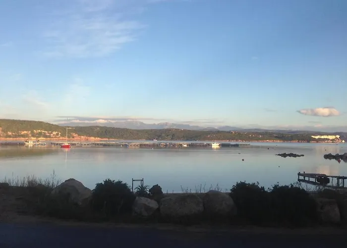 Les Pieds Dans L'eau *