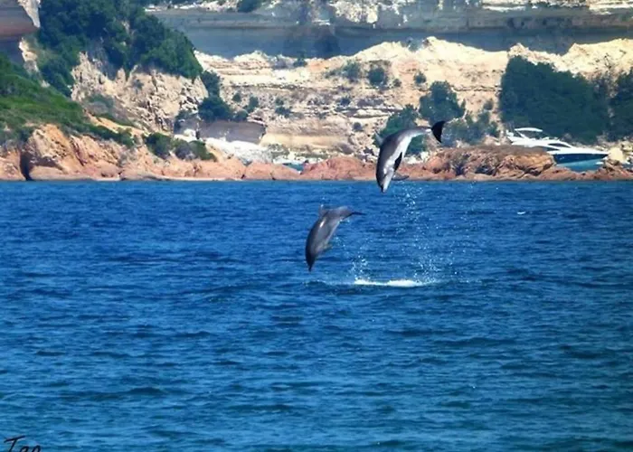 Les Pieds Dans L'eau Villa Bonifacio (Corsica)